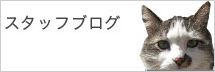 スタッフブログ